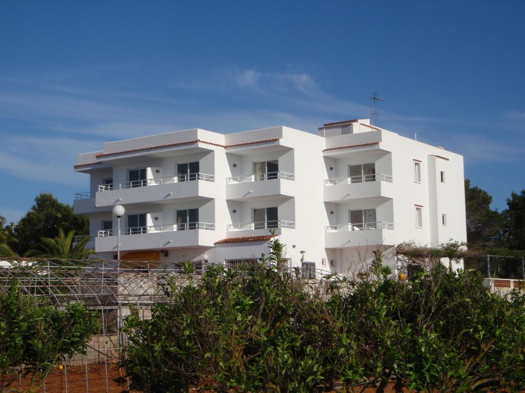 Sunset Oasis Ibiza Adults Only - New Rooms 2025 San Antonio Abad Exterior foto